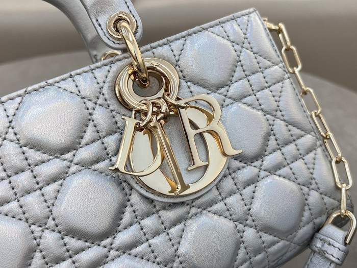 D1OR BAG 26x13.5x5cm