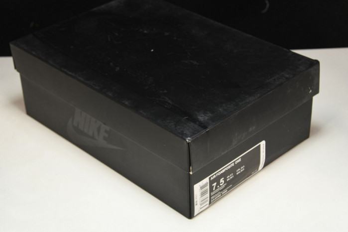 nike air foamposite one eggplant 314996-008