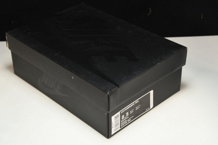 nike air foamposite pro silver surfer - 616750-004