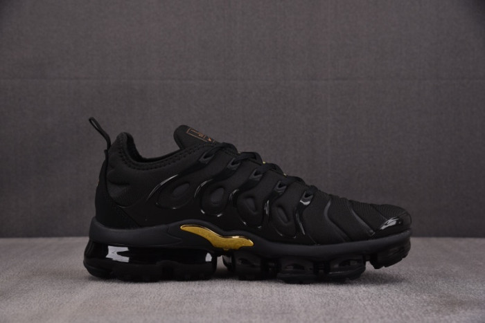 NIKE AIR VAPORMAX Plus 924453-0070