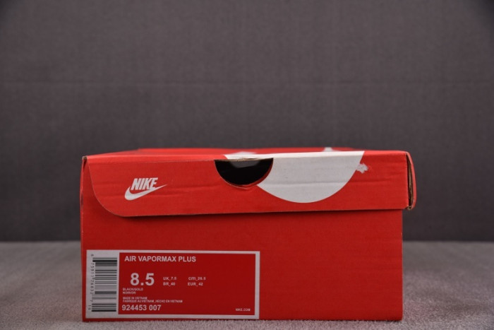 NIKE AIR VAPORMAX Plus 924453-0070