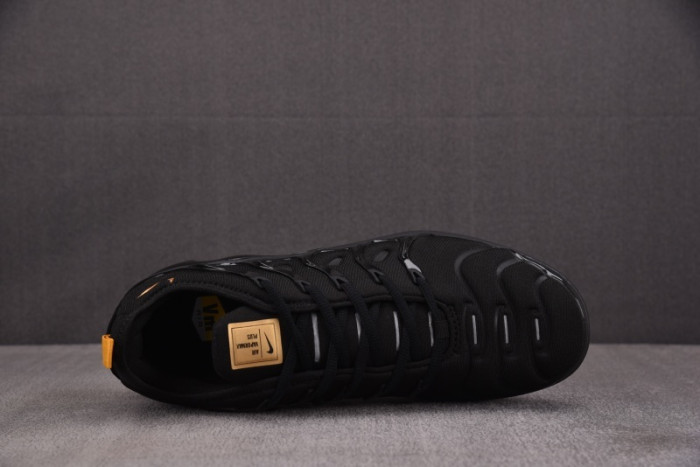 NIKE AIR VAPORMAX Plus 924453-007