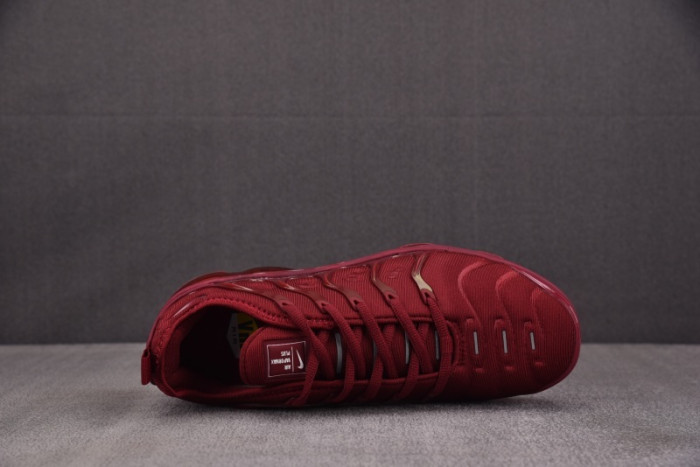 NIKE AIR VAPORMAX Plus 924453-016