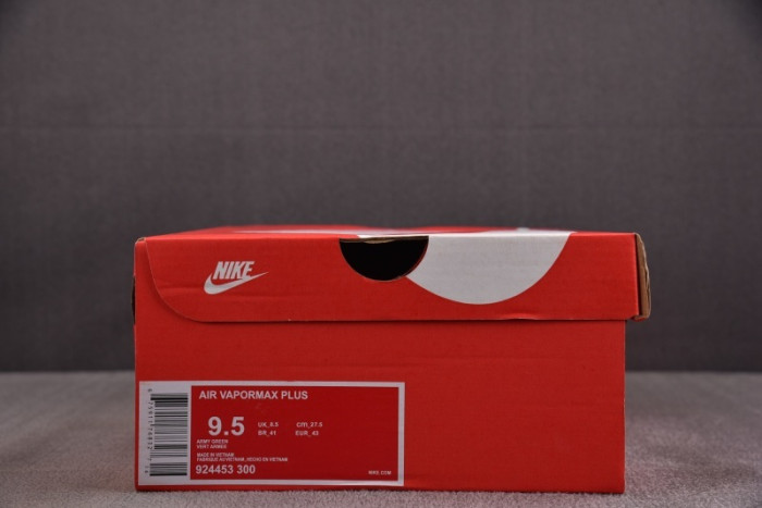 NIKE AIR VAPORMAX Plus 924453-300