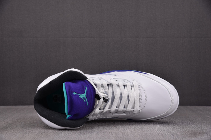 JORDAN 5 RETRO GRAPE 2025 HQ7978-100
