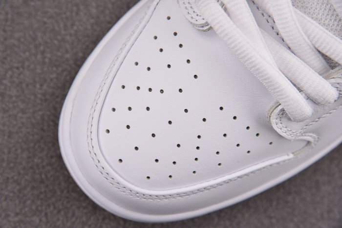 Nike SB Dunk Low Pro 