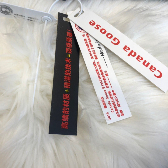 CANADA G00SE CHILLIWACK C11