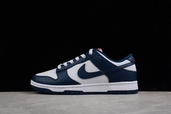 nike dunk sb low retro valerian blue dd1391-400
