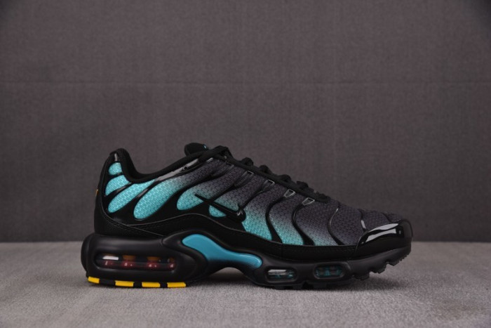 NK Air Max Plus Black Dusty Cactus DM0032-016