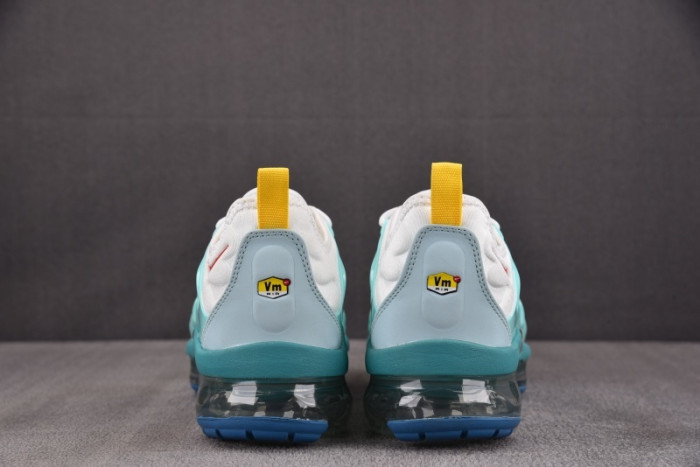 NIKE AIR VAPORMAX Plus DQ7645-100