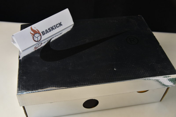 ofw nike dunk low pine green - ct0856-100