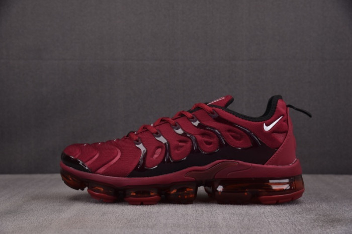 NIKE AIR VAPORMAX Plus FN6850-681