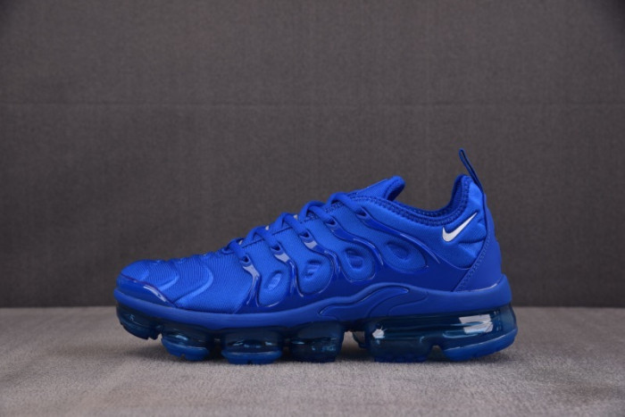 NIKE AIR VAPORMAX Plus HJ9148-480