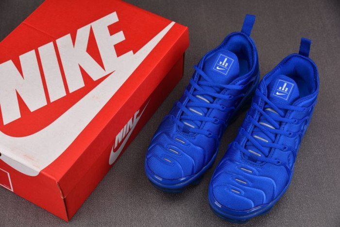 NIKE AIR VAPORMAX Plus HJ9148-480