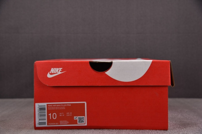 Nike Air Max Plus Premium Black Reflective Silver HQ3029-001