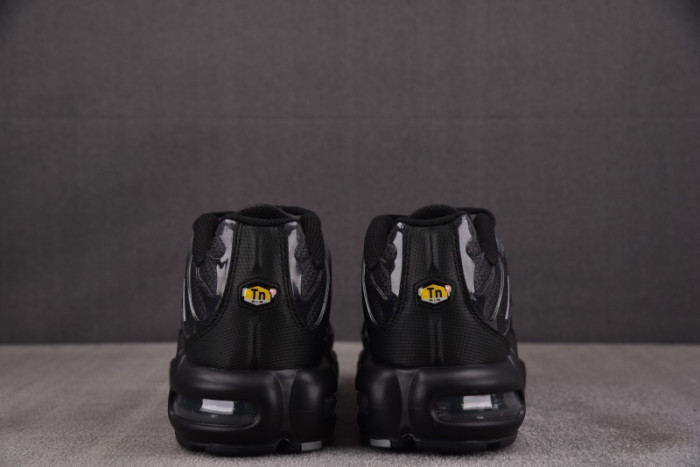 Air Max Plus PSG Black Particle Grey IB2253-001