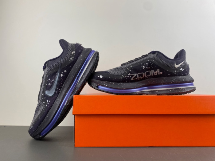 Nike Pegasus Premium SE IH0861-500